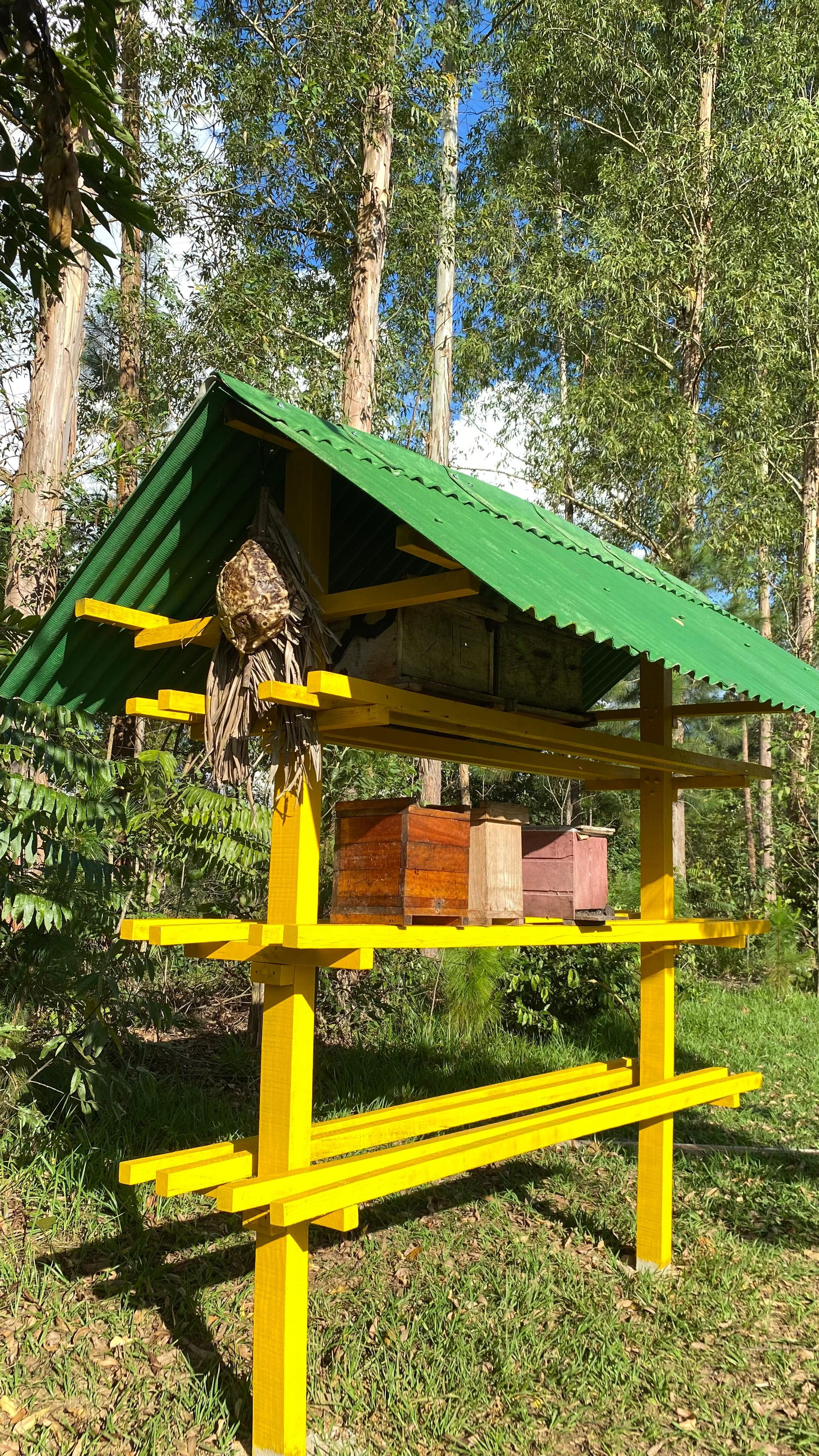 Abelhas nativas no Parque Ecológico de Vilhena